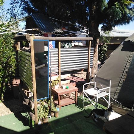 Xenia Bed & Breakfast Windhoek Bagian luar foto