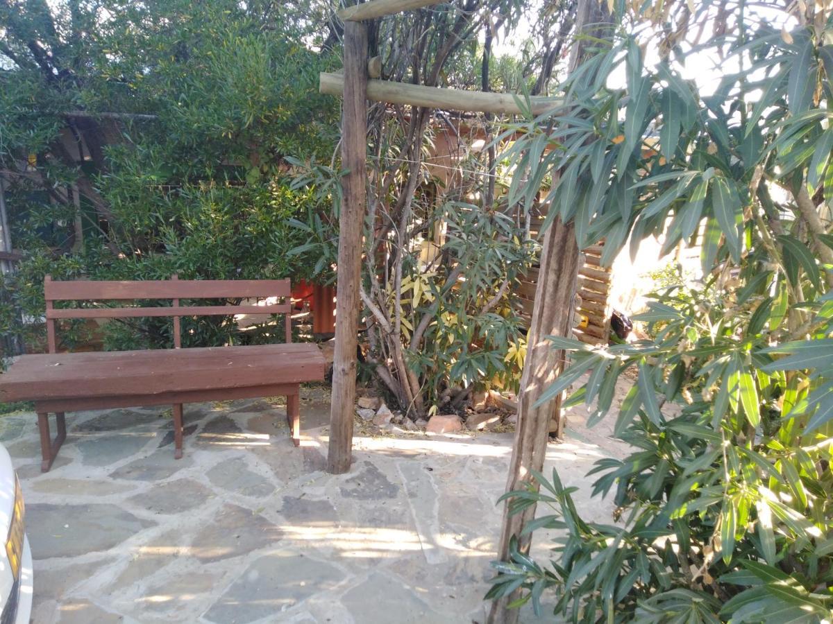 Xenia Bed & Breakfast Windhoek Bagian luar foto