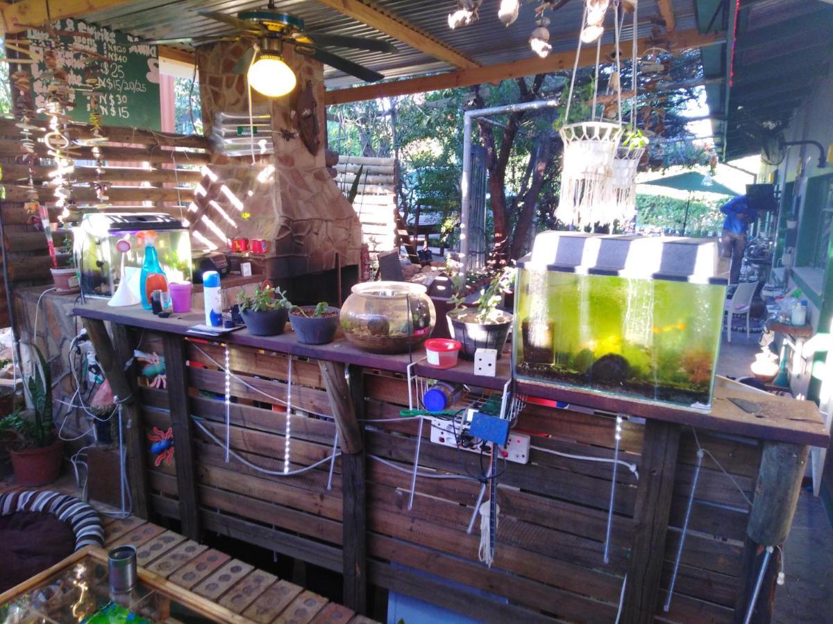 Xenia Bed & Breakfast Windhoek Bagian luar foto