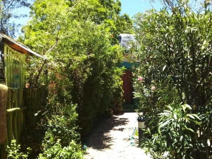 Xenia Bed & Breakfast Windhoek Bagian luar foto